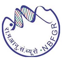 nbfgr